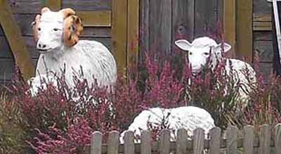 Die Heide lockt mit Heidschnucken und Heideschäfern. Fotos: Koch/Lüneburger Heide GmbH